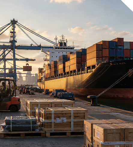 Export & Logistics Expertise